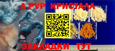спиды Донской