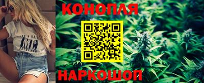 спиды Донской
