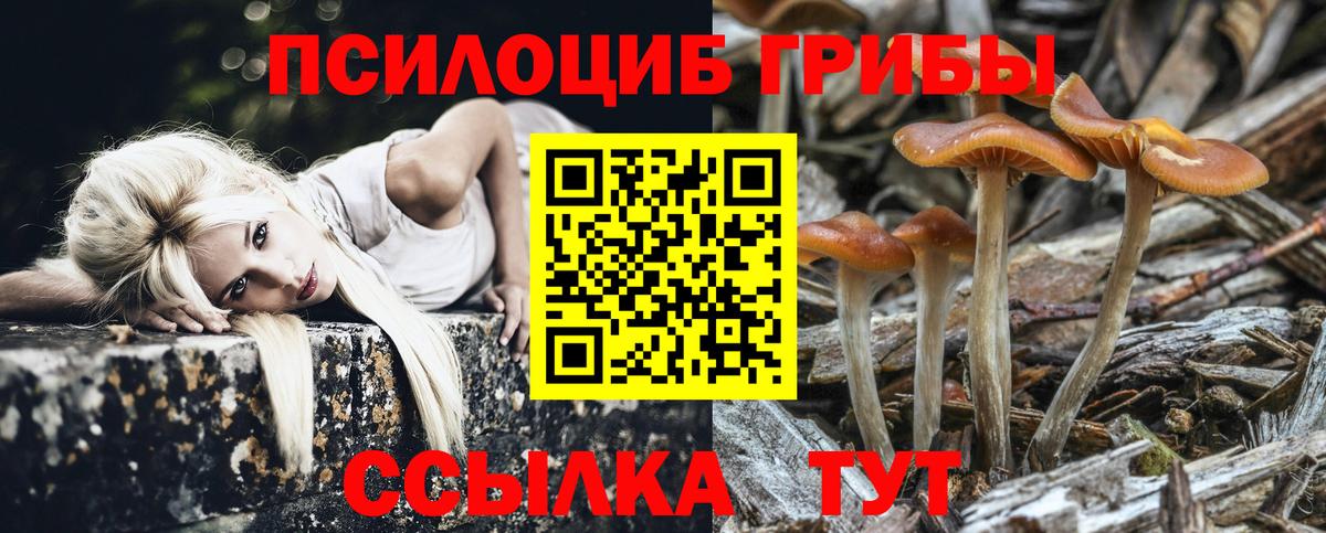 Галлюциногенные грибы GOLDEN TEACHER Мариинск