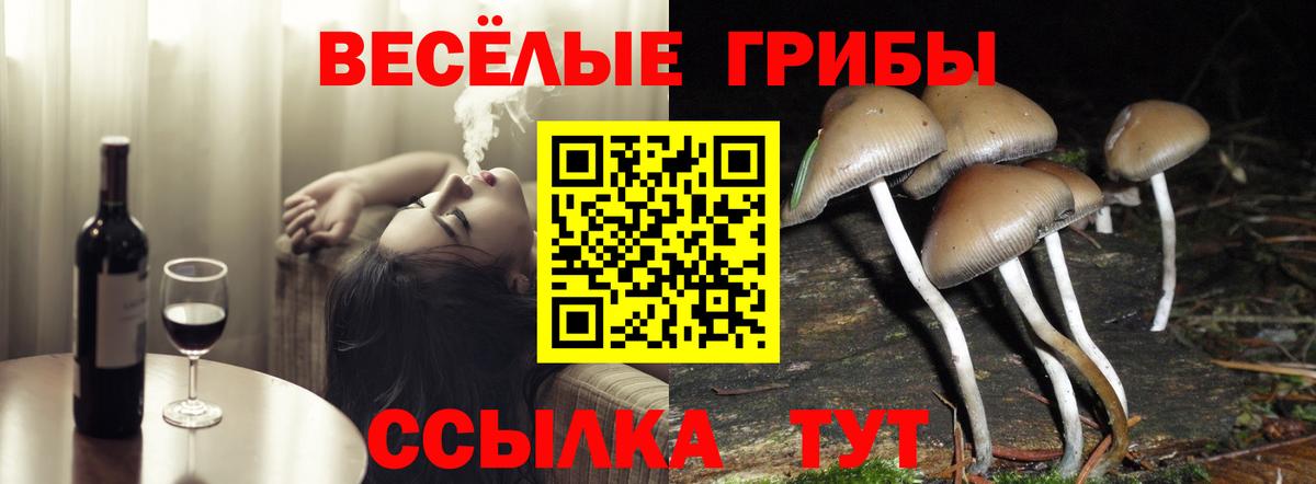 Псилоцибиновые грибы GOLDEN TEACHER  Вход с VPN  Мариинск  Галлюциногенные грибы прущие грибы 
